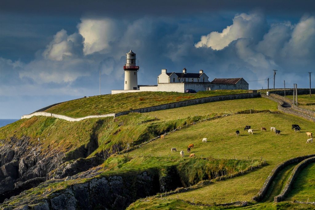 lighthouse, ireland, galley head, nature, view, cows, sky, dramatic