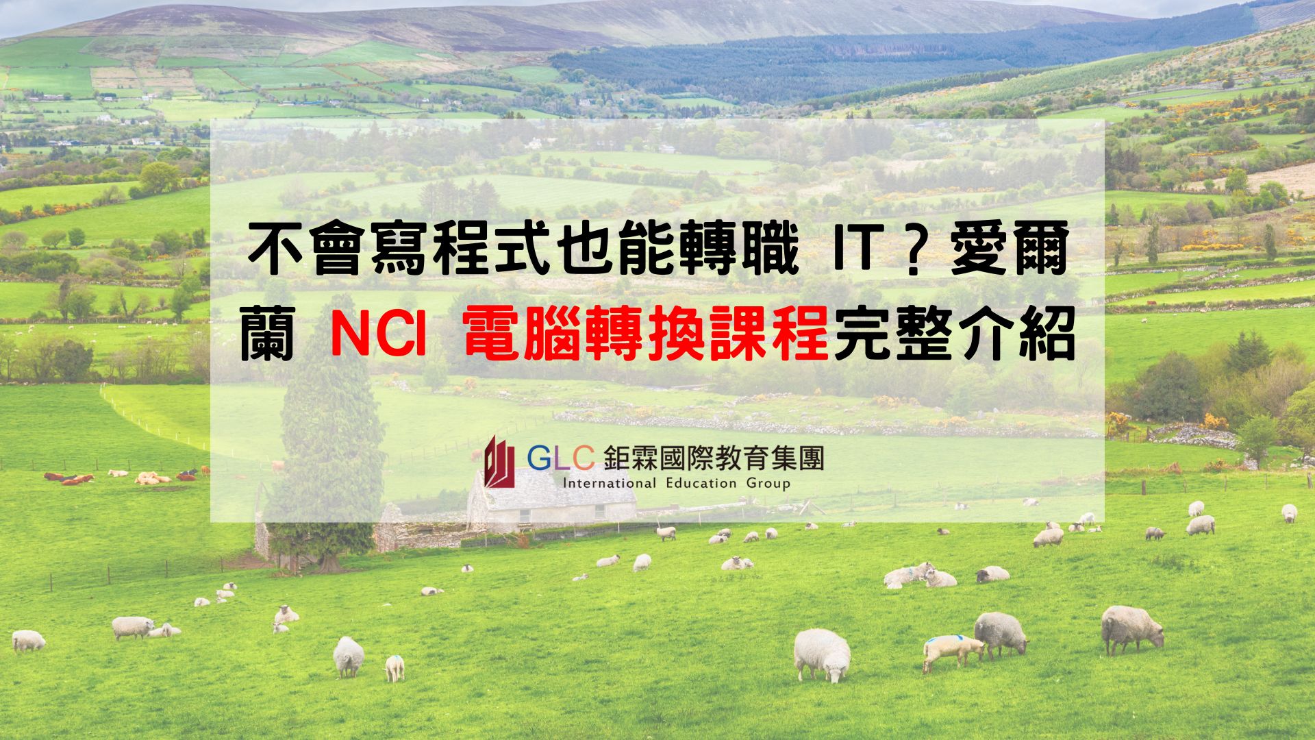 不會寫程式也能轉職 IT？愛爾蘭 NCI 電腦轉換課程完整介紹