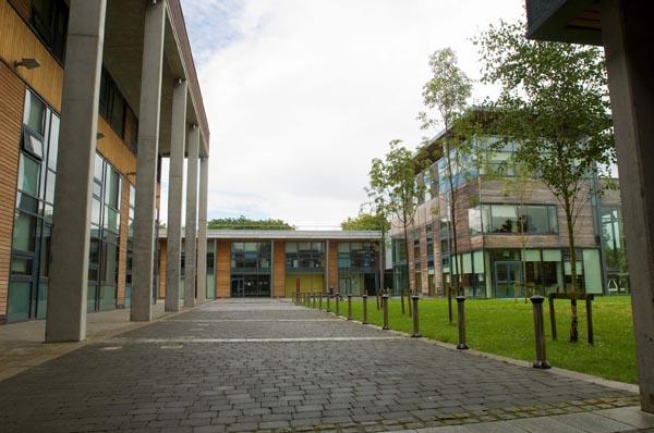 Faculty of Science and Engineering 科學與工程學院