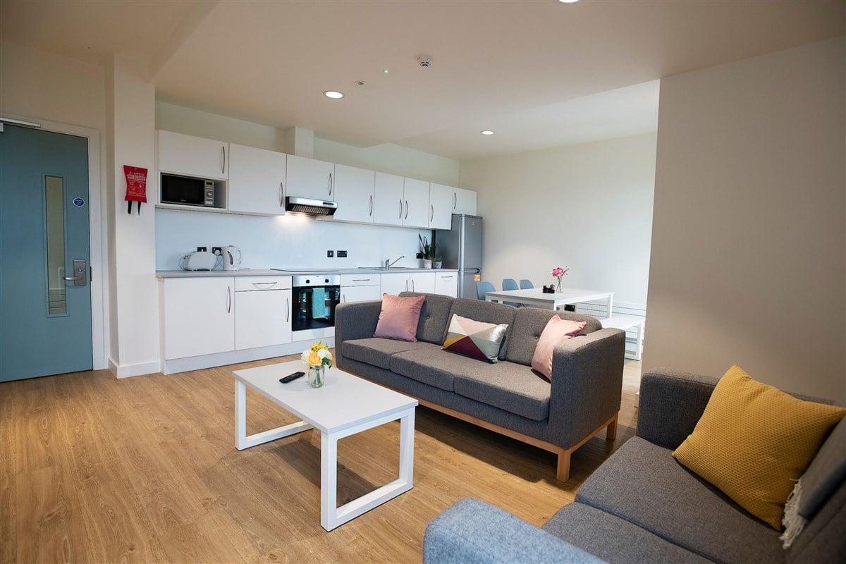 Galway 高威 Shared House Apartment 校外合租